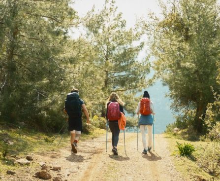 Wandelschoenen Kopen Winkel: Wandelschoenen kopen in de winkel: waarom passen de enige optie is
